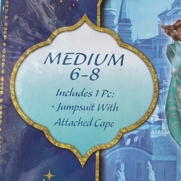 Official Registered DISNEY JASMINE Adult HALLOWEEN Costume Party Genie Aladdin - Picture 6 of 7